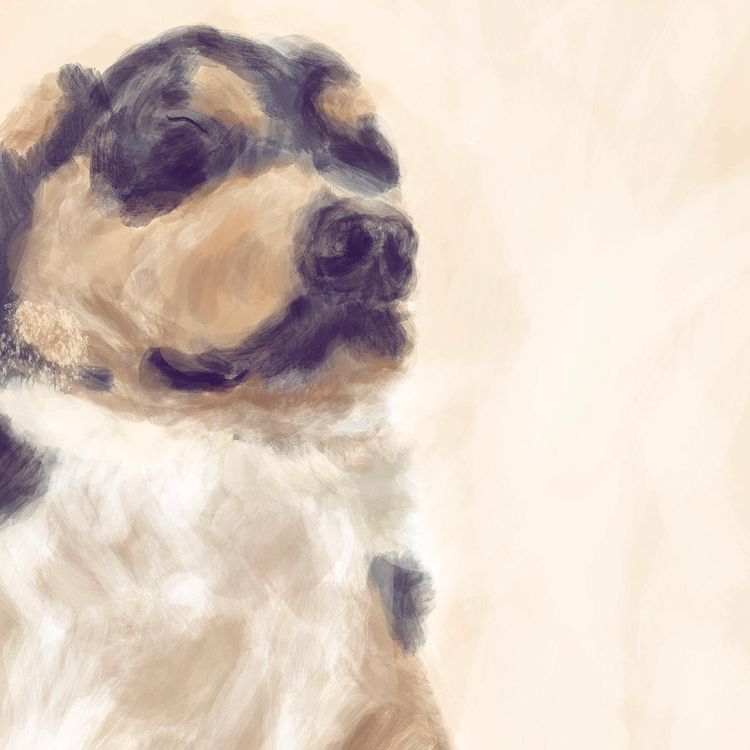 My baby Dyson is cute art inspiration!